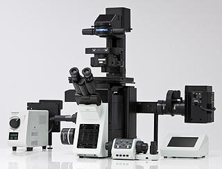 荧光显微镜及成像系统